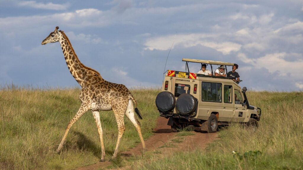 Masai Mara Budget Safaris