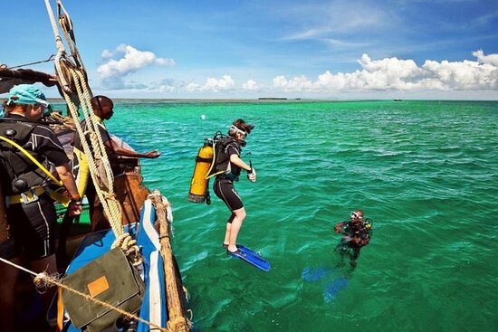Wasini Island Package